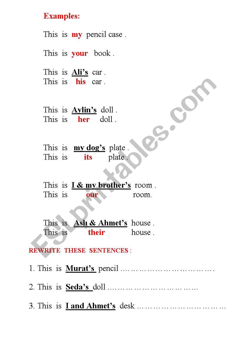 POSSESSIVE ADJECTIVES worksheet