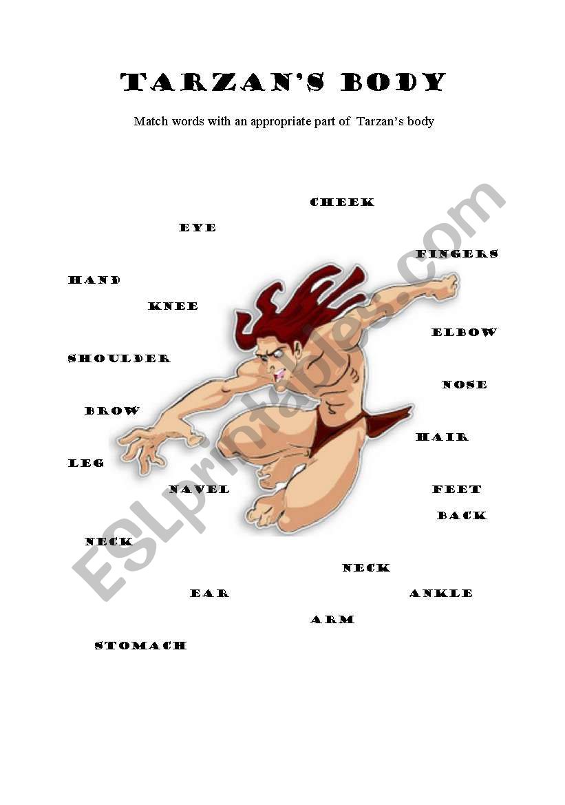 Body - Matching activity worksheet