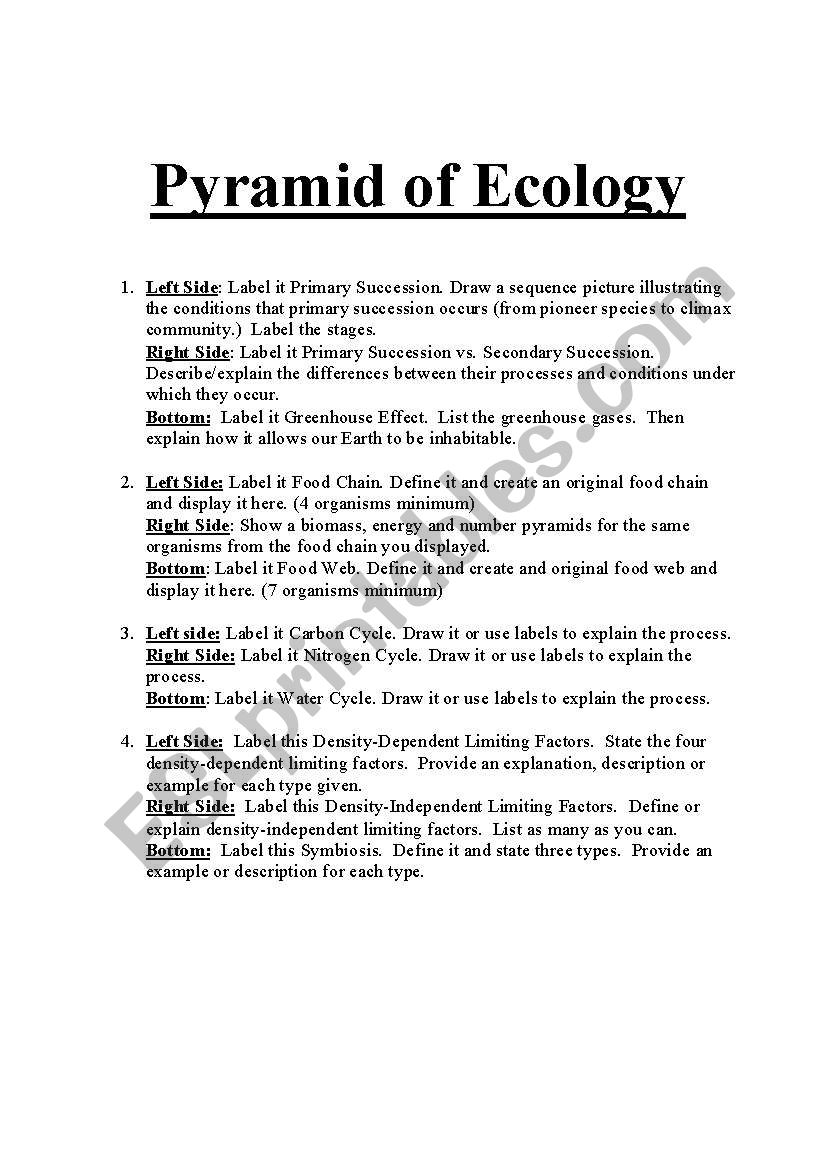 Pyramid of Ecology worksheet