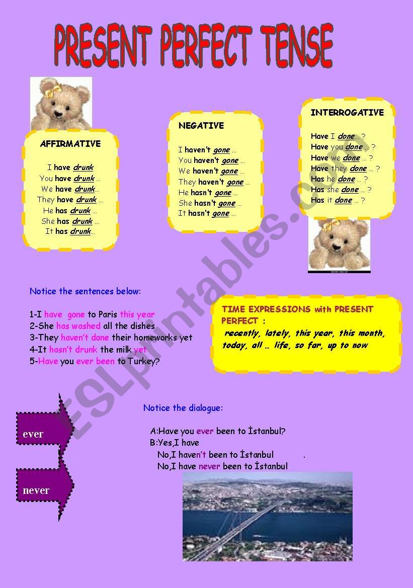 the present perfect worksheet