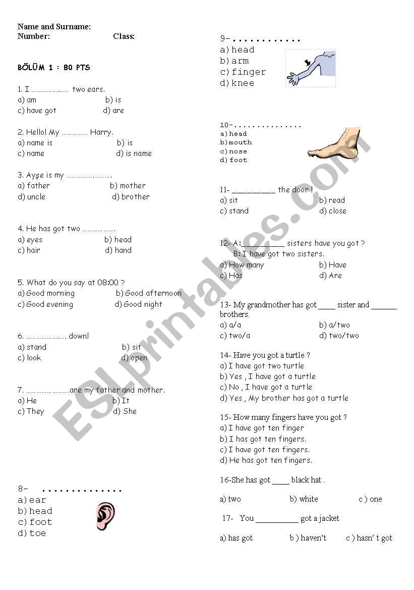 worksheet for elementary  worksheet