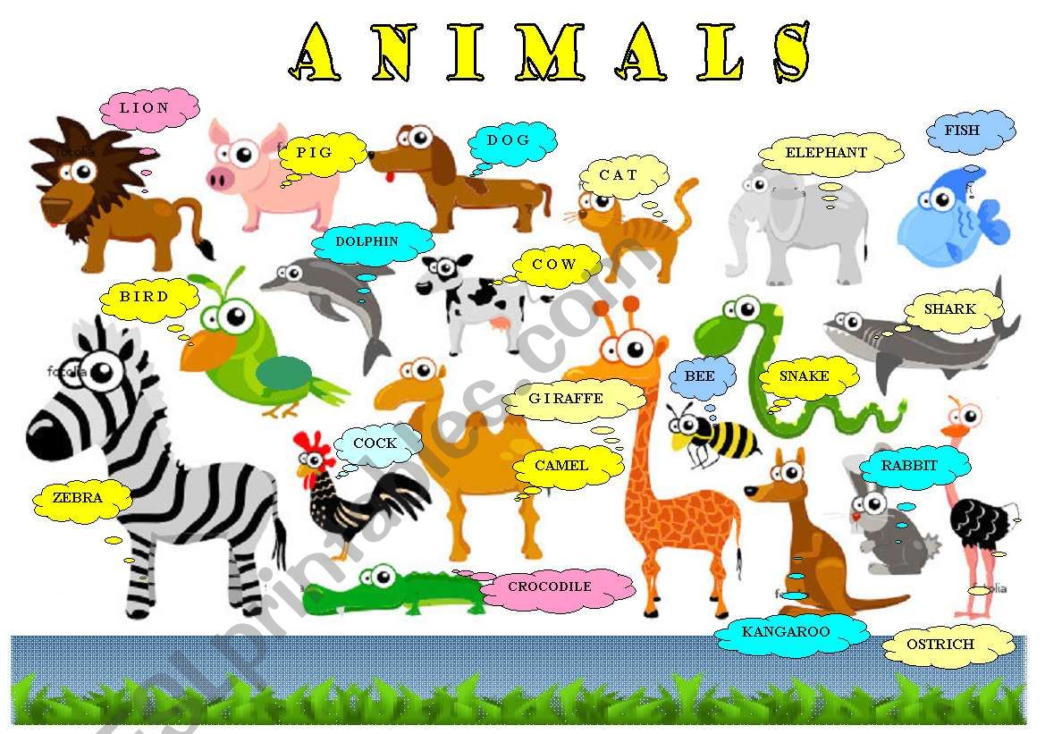 ANIMALS PICTIONARY worksheet