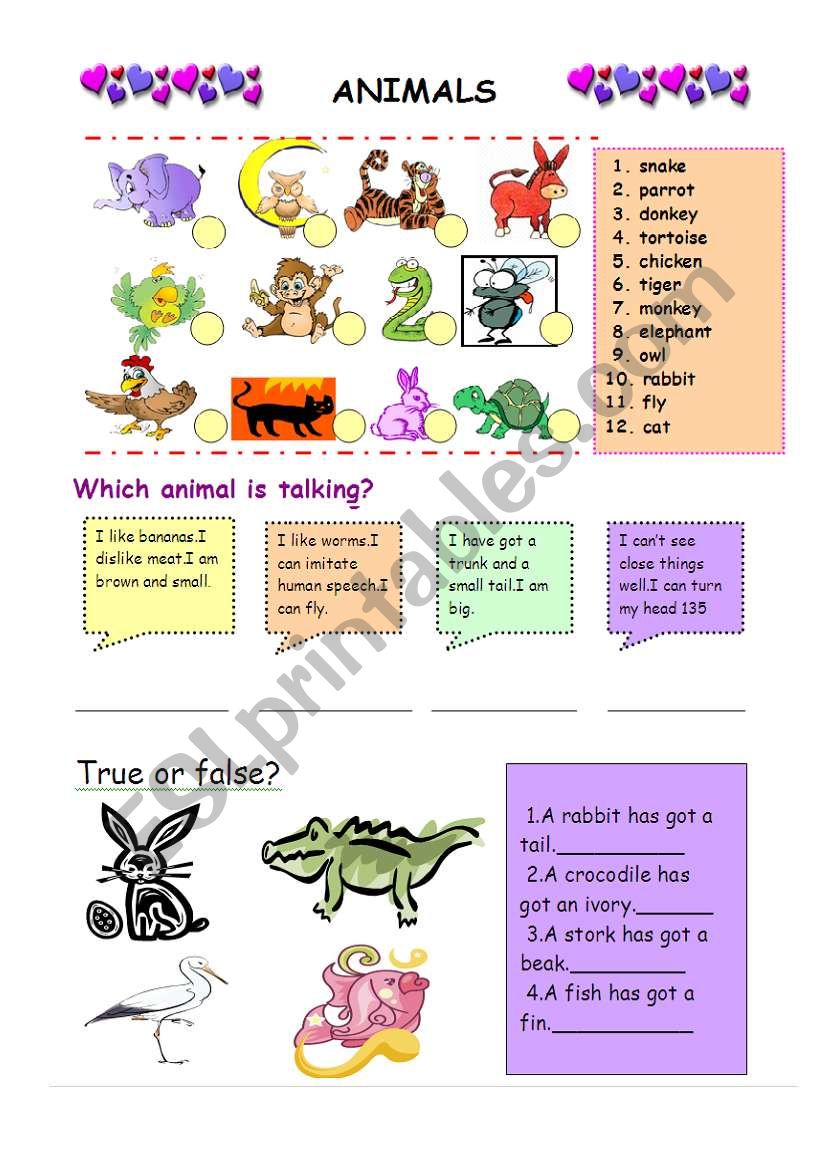 Animals worksheet