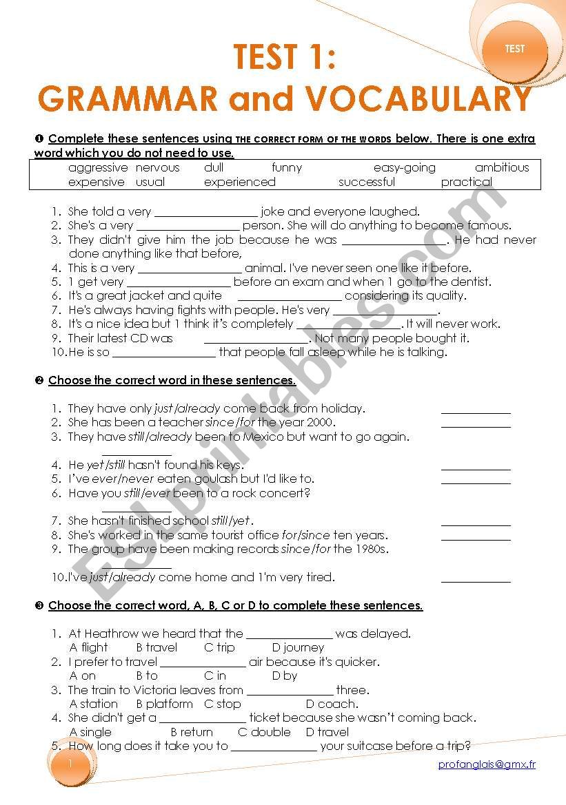 TEST 1 GRAMMAR and VOCABULARY worksheet