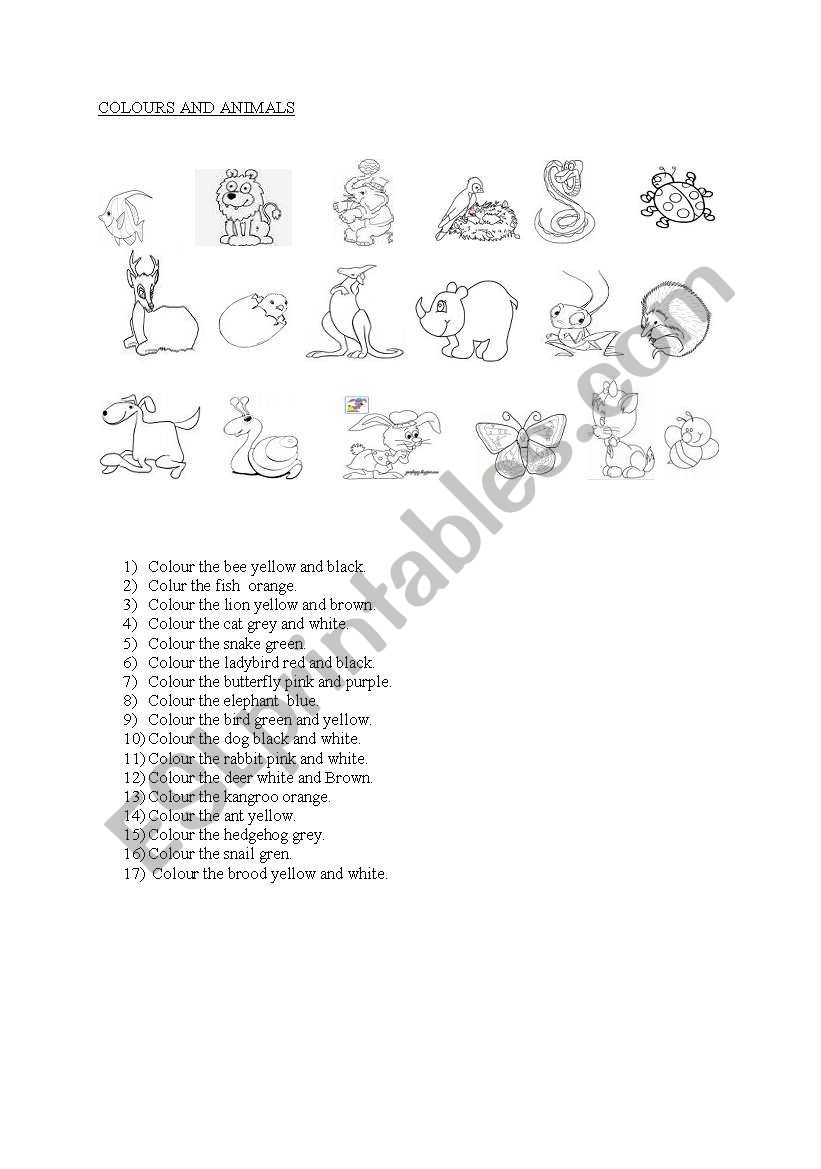 Animals and colours worksheet