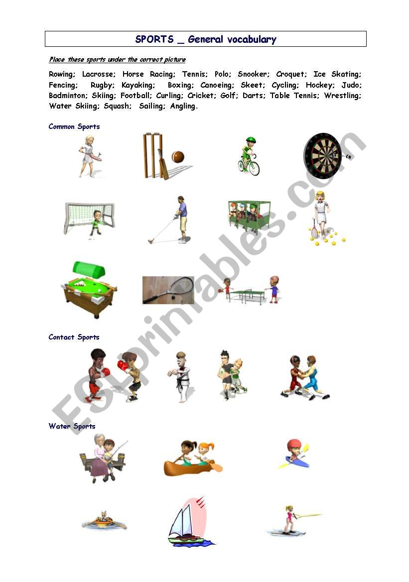 Sport general vocabulary worksheet