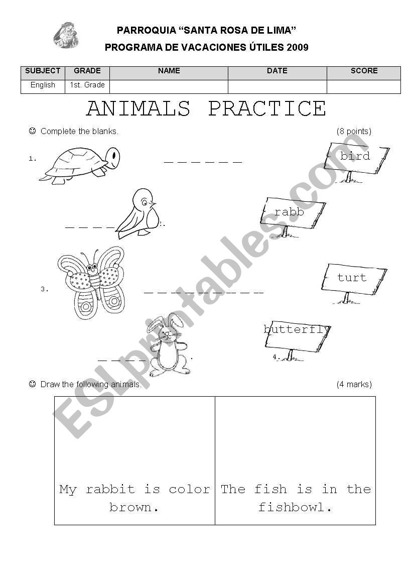 animals practice worksheet