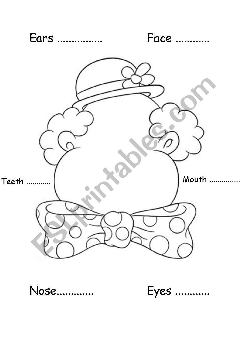 parts of the face worksheet