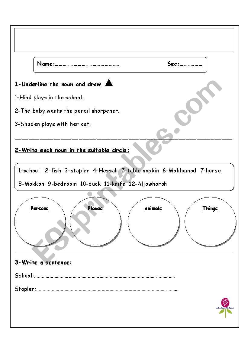 Types of the noun worksheet