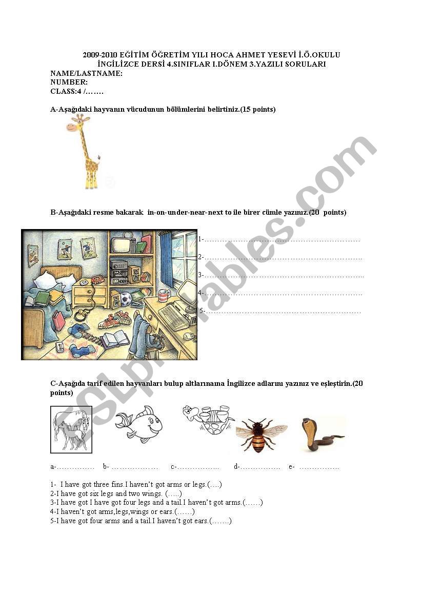 revision test worksheet