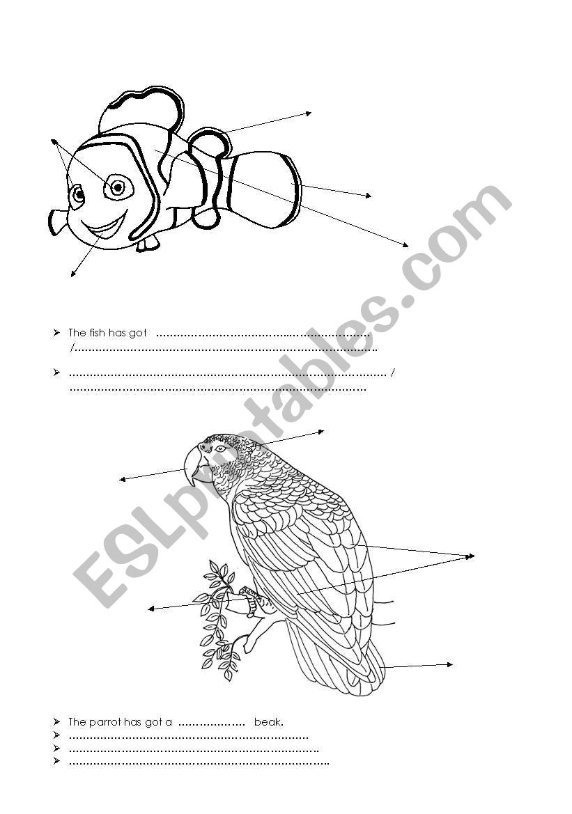 animals colouring page worksheet
