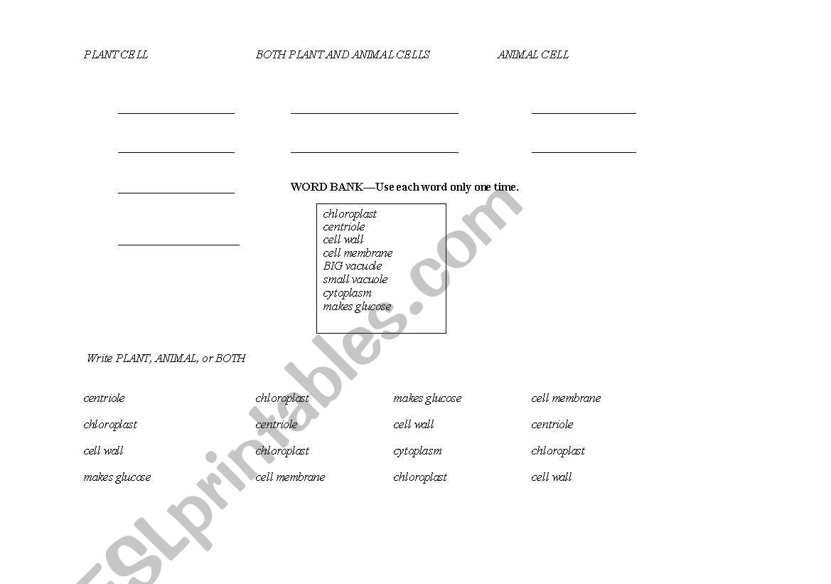 Plant Cell or Animal Cell? worksheet