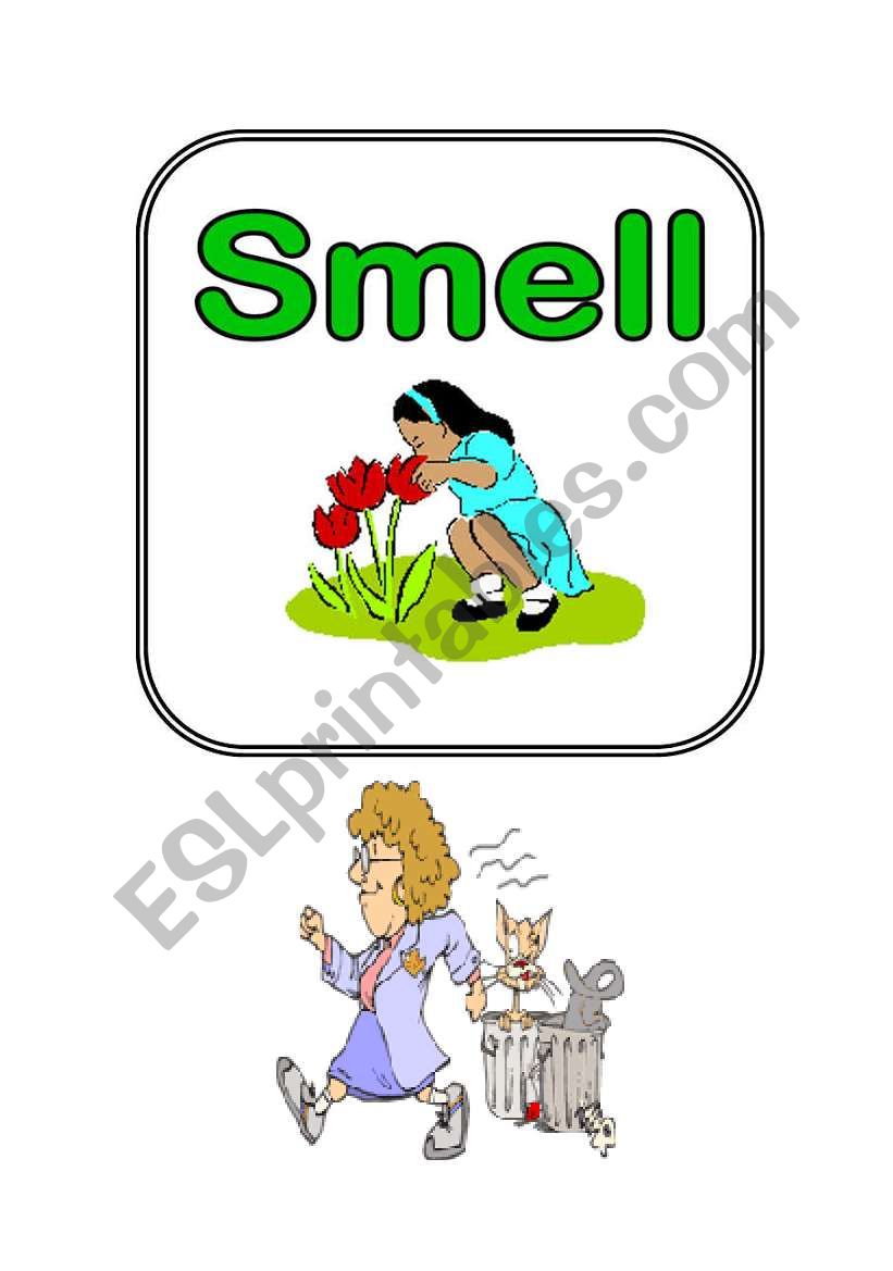 smelling Game worksheet