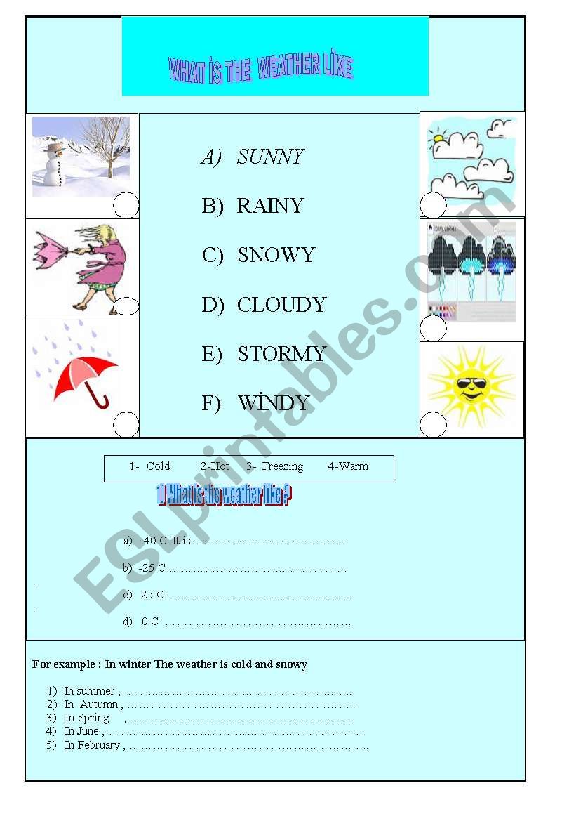  What is the weather like  worksheet