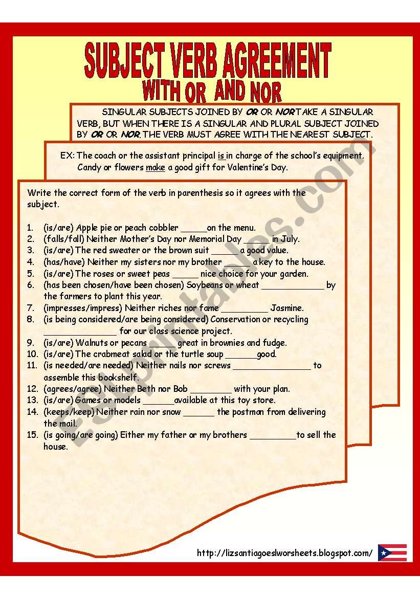 subject verb agreement  worksheet