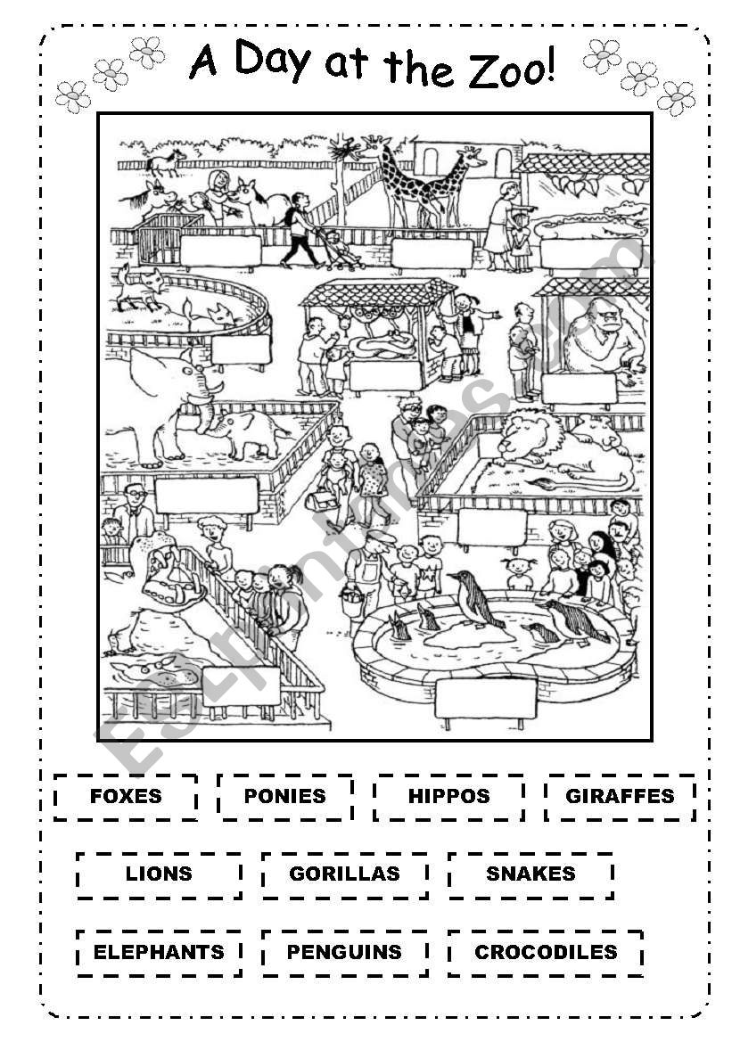 ANIMALS  and several basic structures - B&W