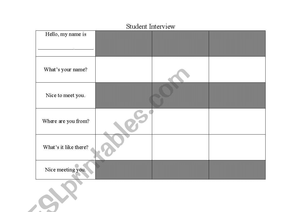 student interview worksheet