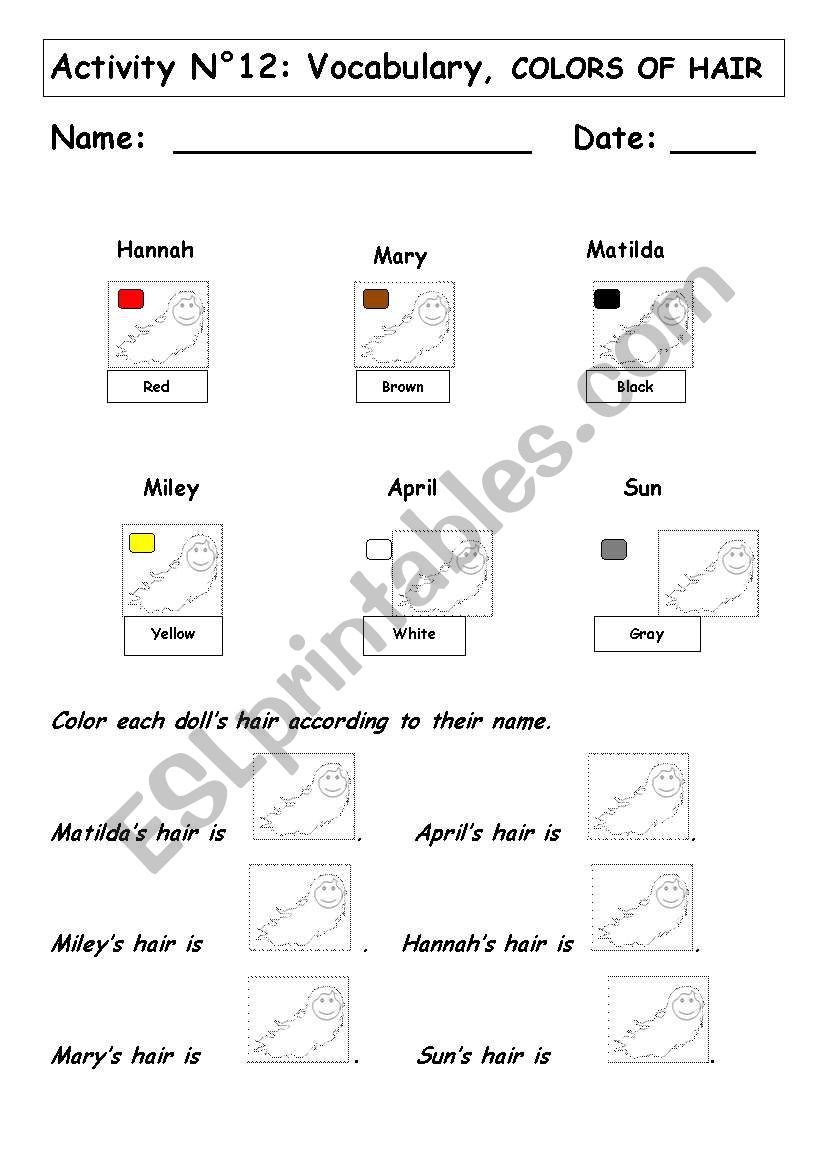 Colors of hair worksheet