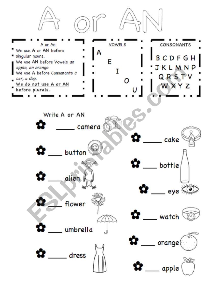 a or an worksheet