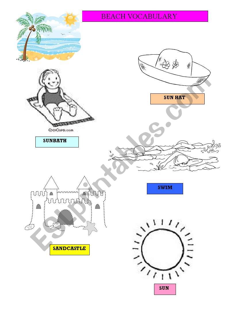 Beach Vocabulary worksheet