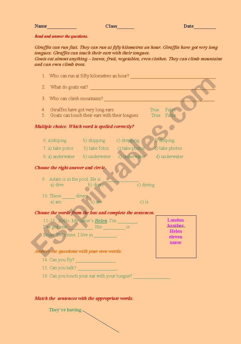 Progress test  worksheet