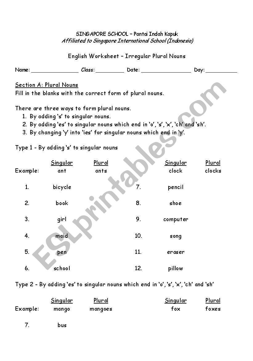 Irregular Plural Nouns worksheet