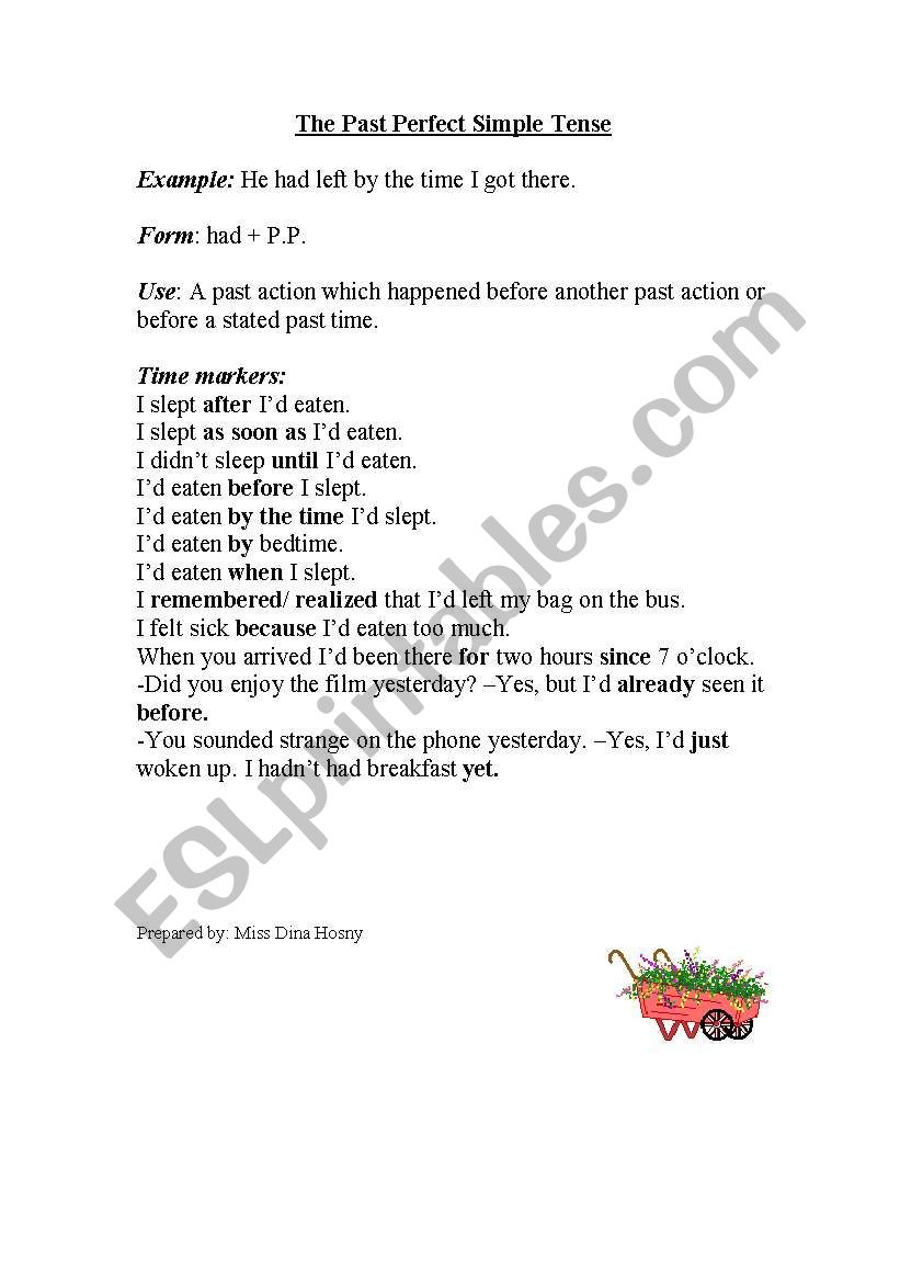 present perfect  worksheet