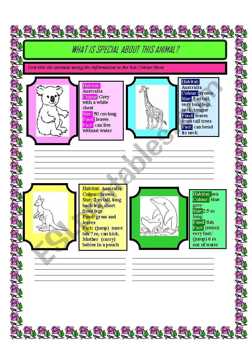 Animal facts (3 pages) (12 animals)