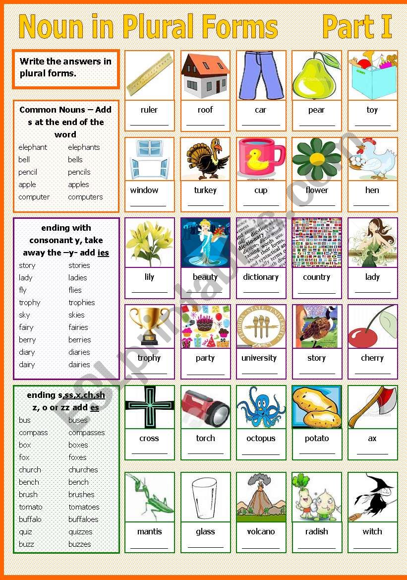 Noun in Plural Forms - Part I worksheet