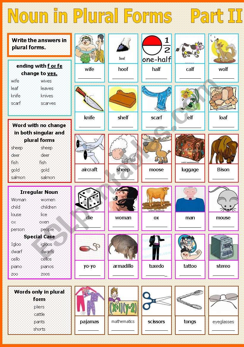 Noun in Plural Forms - Part II