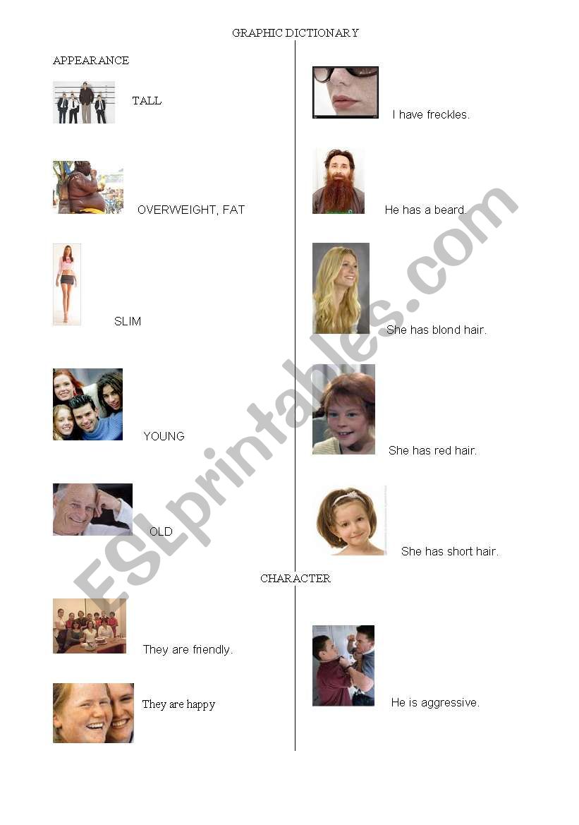 graphic dictionary worksheet