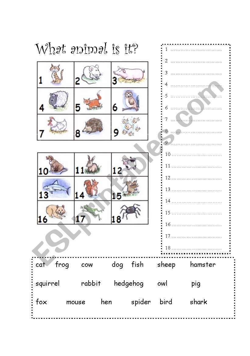 What animal is it? worksheet