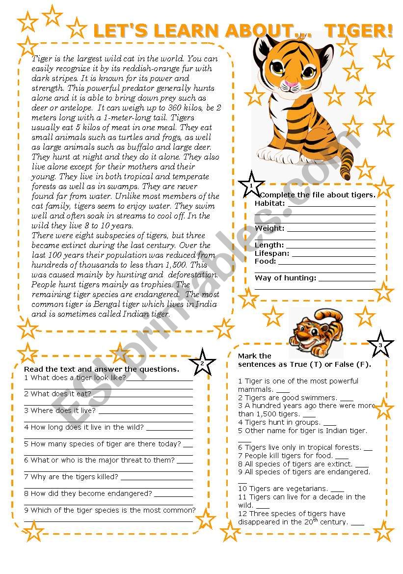 LETS LEARN ABOUT... TIGER! (2 PAGES with key)