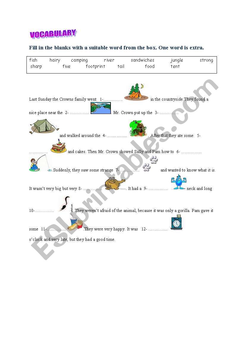 vocabulary  worksheet