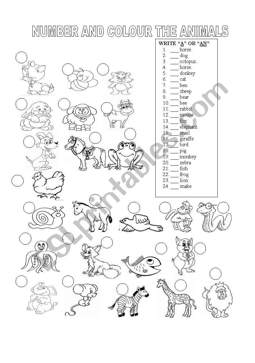 animals worksheet