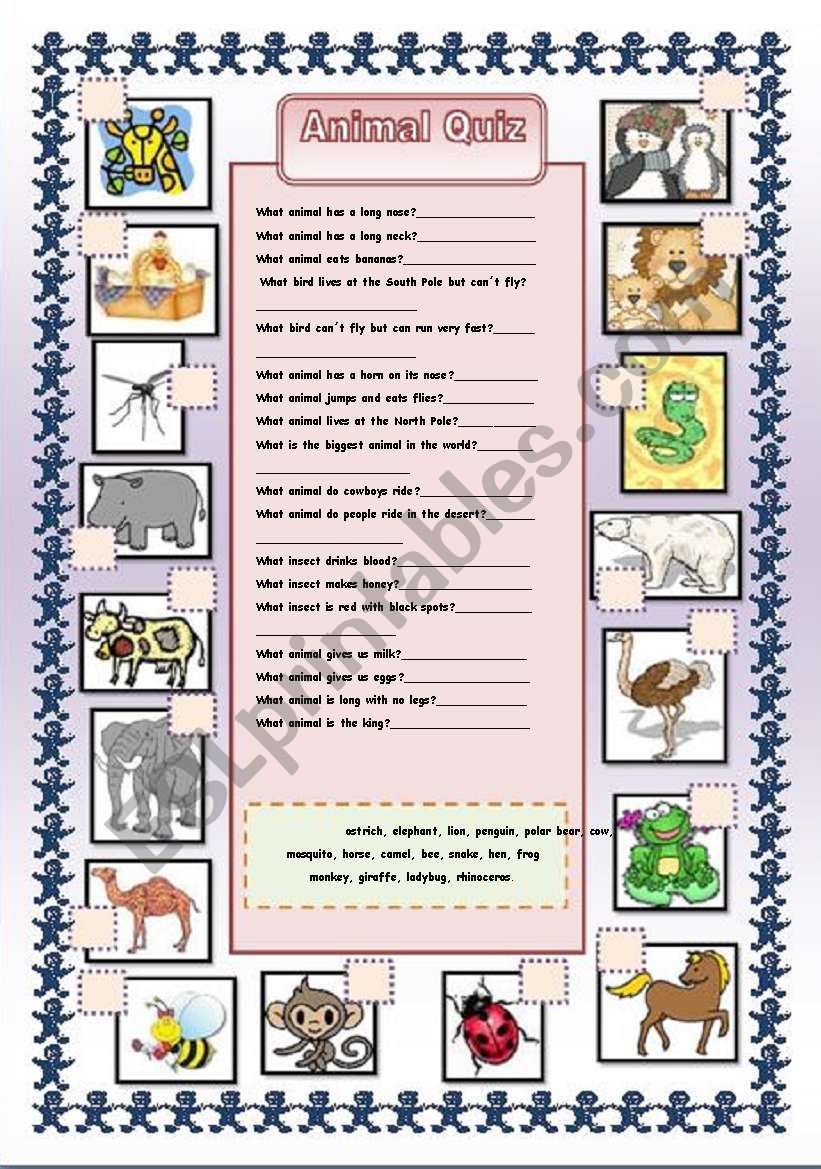 Animal quiz worksheet