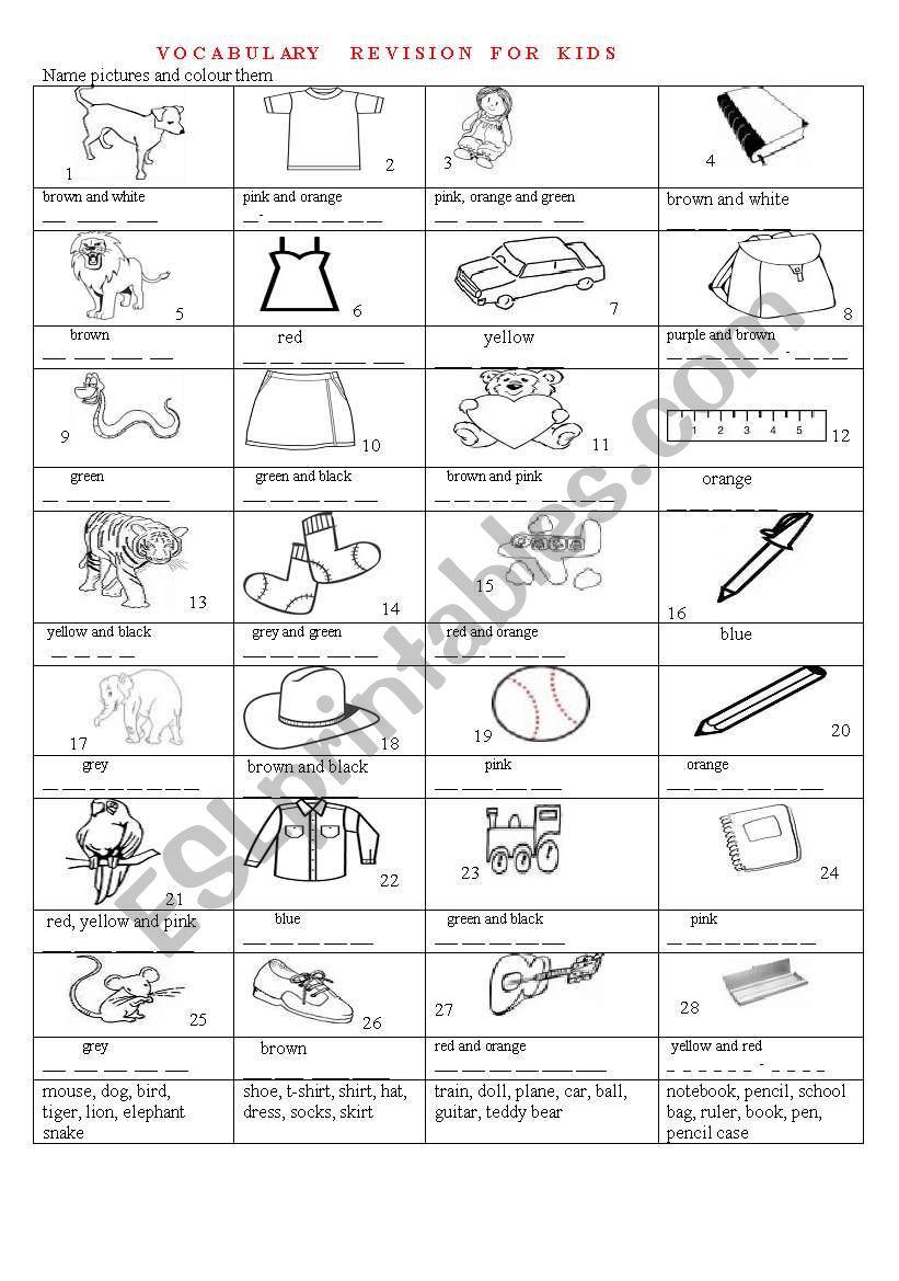 Vocabulary Revision For Kids worksheet