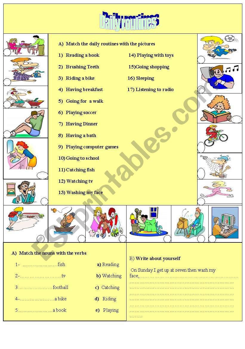 Daily routines worksheet