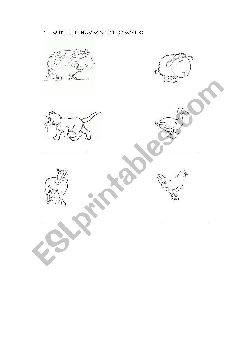 ANIMALS worksheet