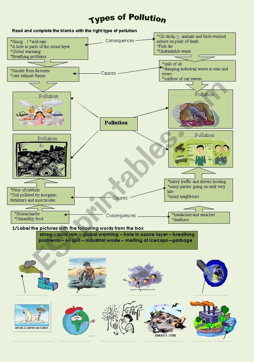 types of pollution worksheet
