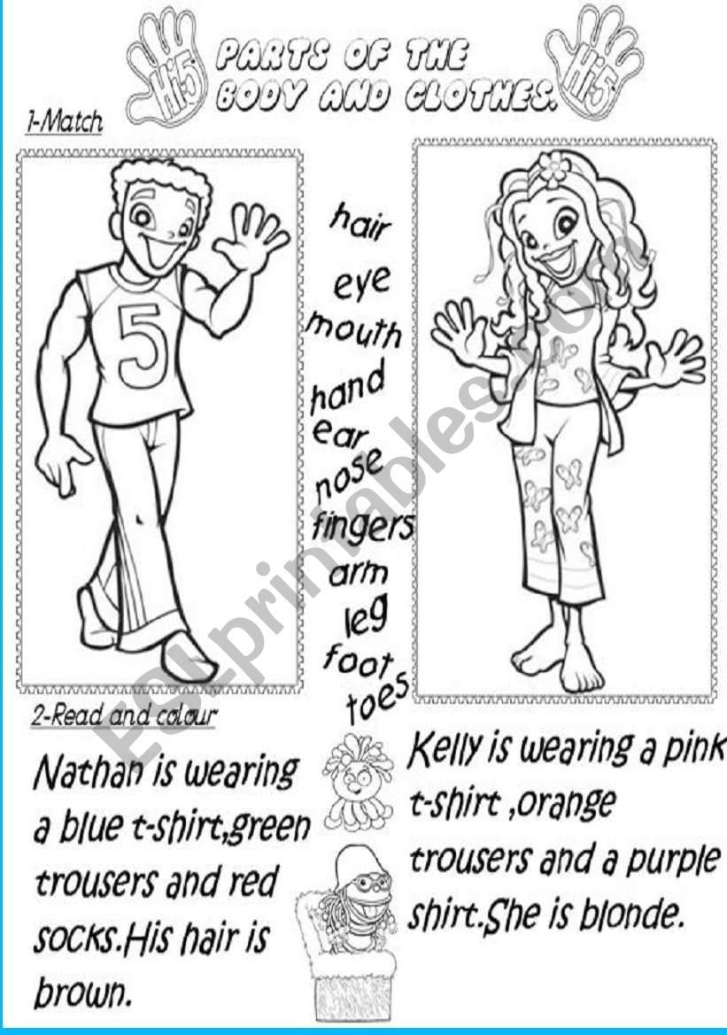 Parts of the body and clothes.