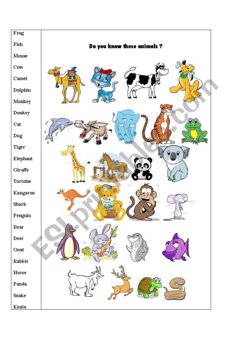 Animals worksheet