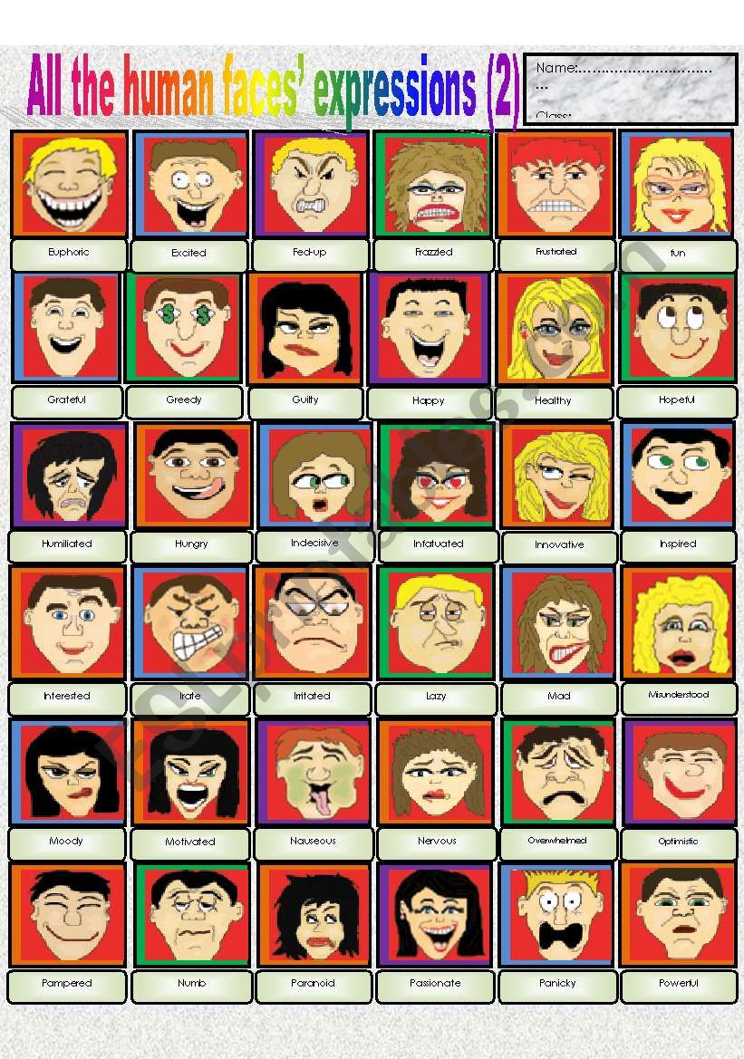 All the human faces  expressions (part 2)