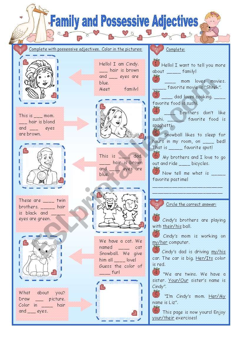 Family and Possessive Adjectives