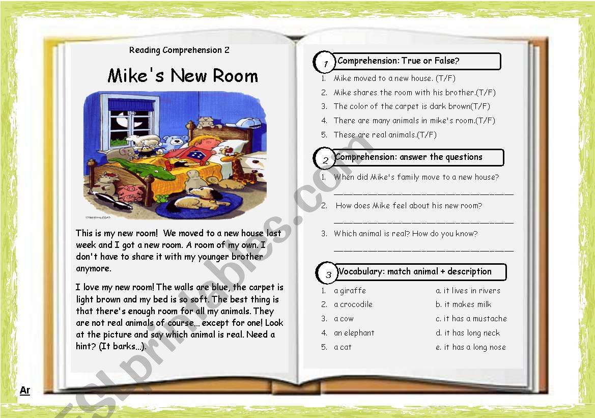 Reading Comprehension 02: Mikes New Room + Key