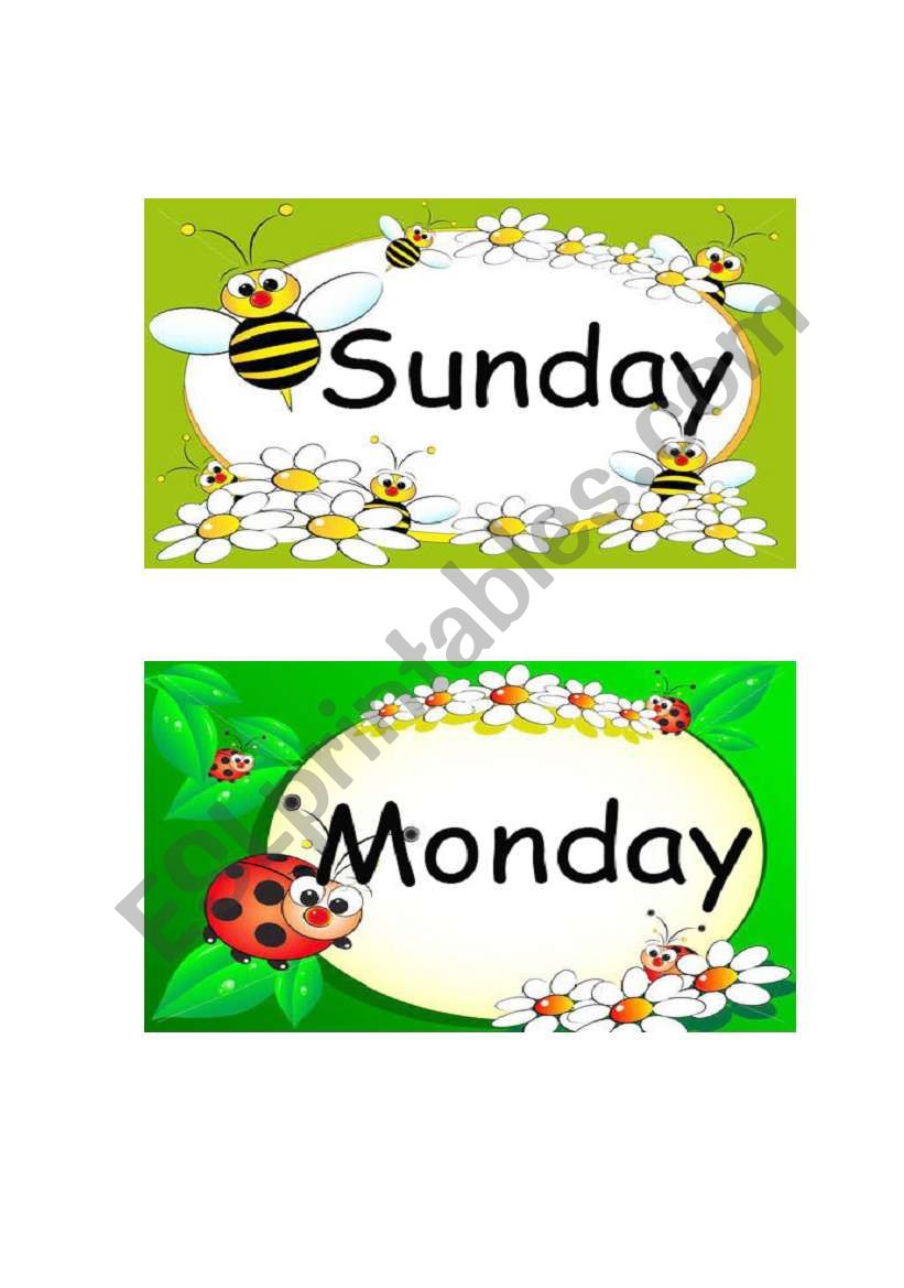 Sunday & Monday Flashcards-1 worksheet