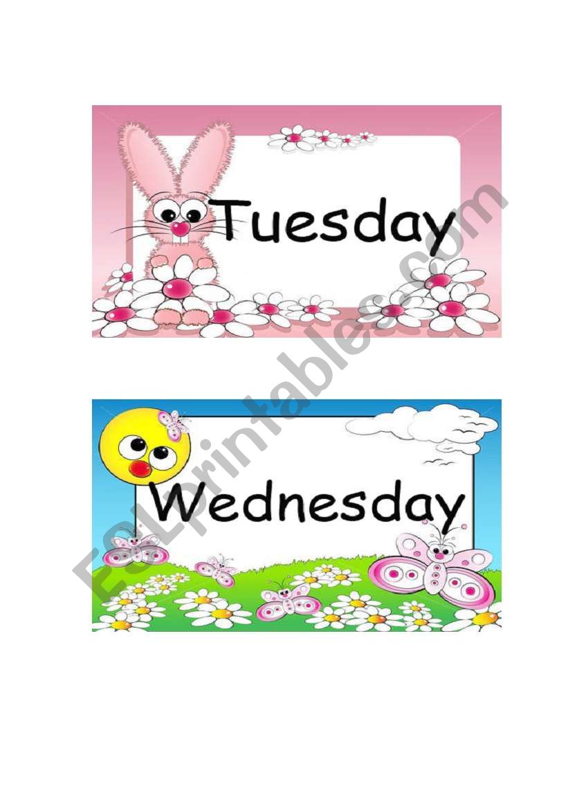 Tuesday & Wednesday Flashcards