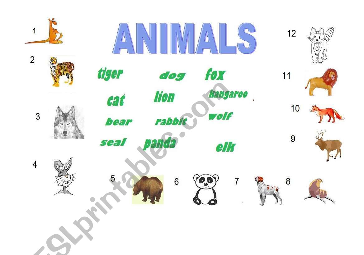 Animals worksheet