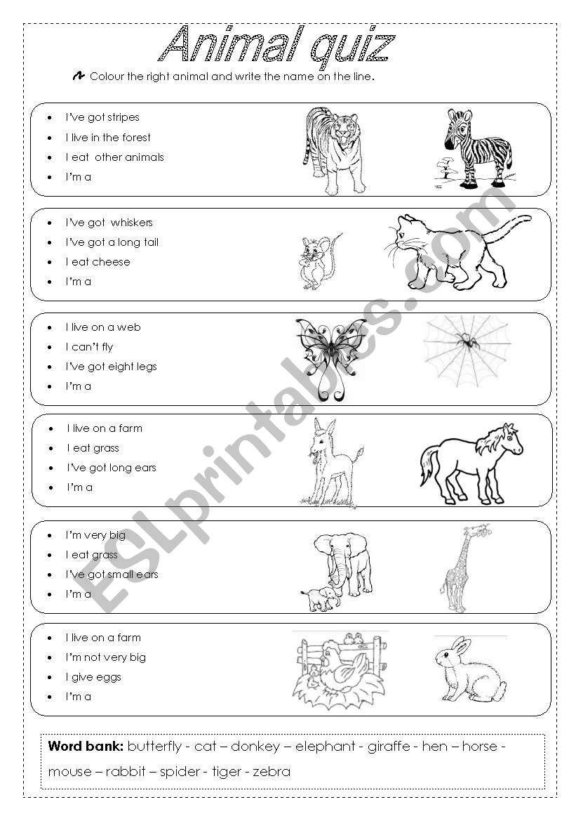 Animal quiz worksheet