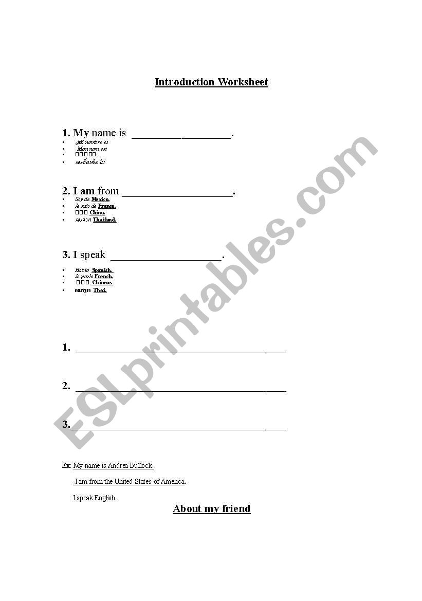 Introduction Worksheet worksheet